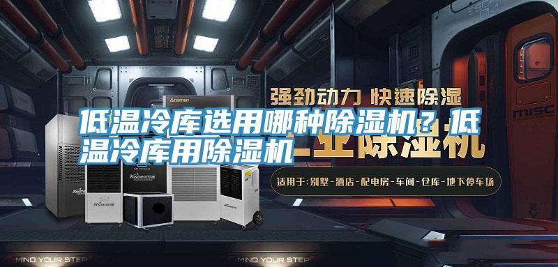 低溫冷庫選用哪種除濕機？低溫冷庫用除濕機