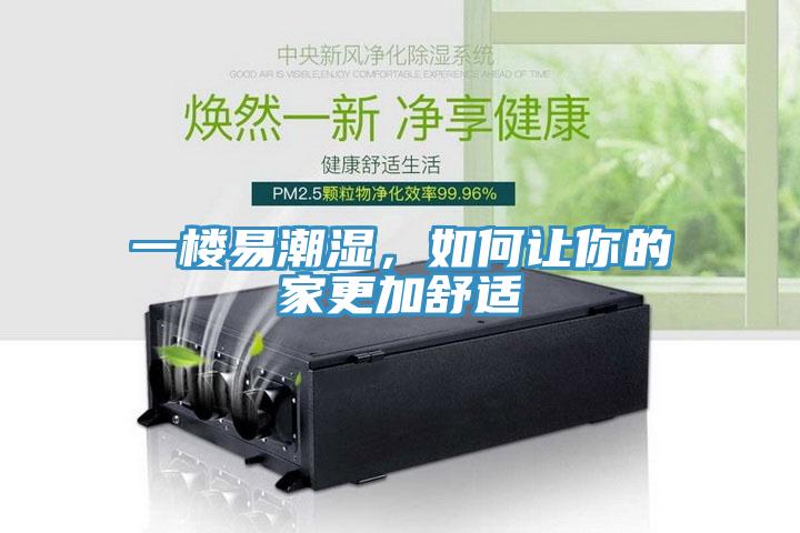 一樓易潮濕，如何讓你的家更加舒適
