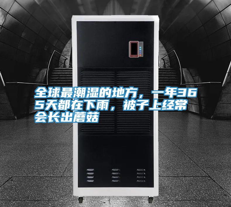 全球最潮濕的地方，一年365天都在下雨，被子上經常會長出蘑菇