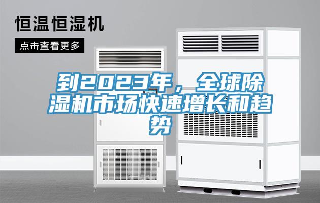 到2023年，全球除濕機(jī)市場(chǎng)快速增長和趨勢(shì)