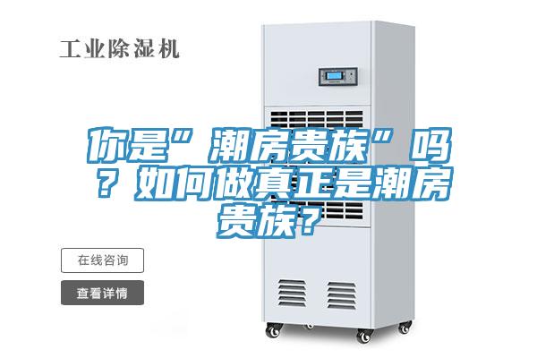 你是”潮房貴族”嗎？如何做真正是潮房貴族？
