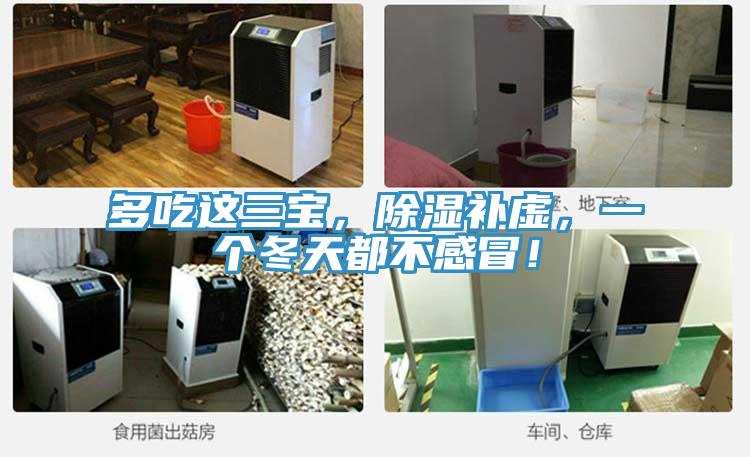 多吃這三寶，除濕補虛，一個冬天都不感冒！