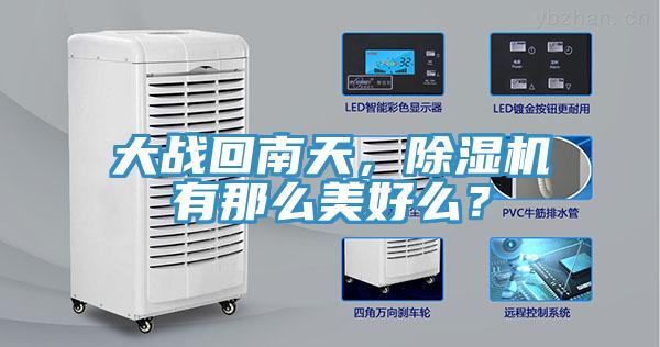 大戰(zhàn)回南天，除濕機有那么美好么？