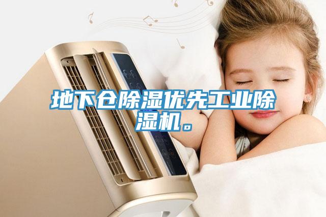 地下倉(cāng)除濕優(yōu)先工業(yè)除濕機(jī)。
