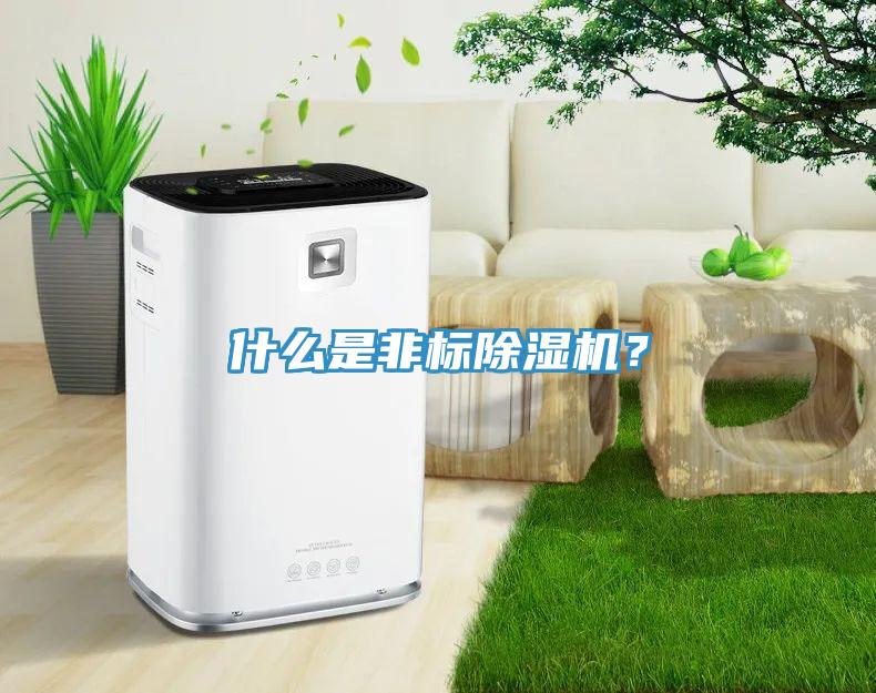 什么是非標除濕機？