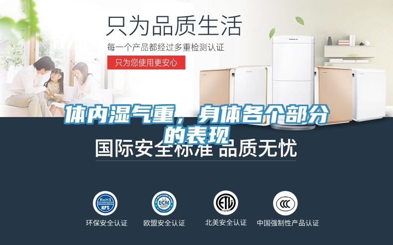 體內(nèi)濕氣重，身體各個部分的表現(xiàn)