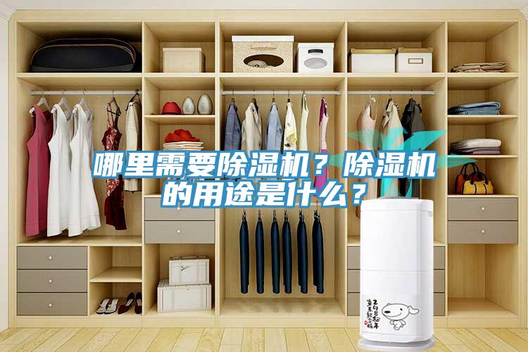 哪里需要除濕機？除濕機的用途是什么？