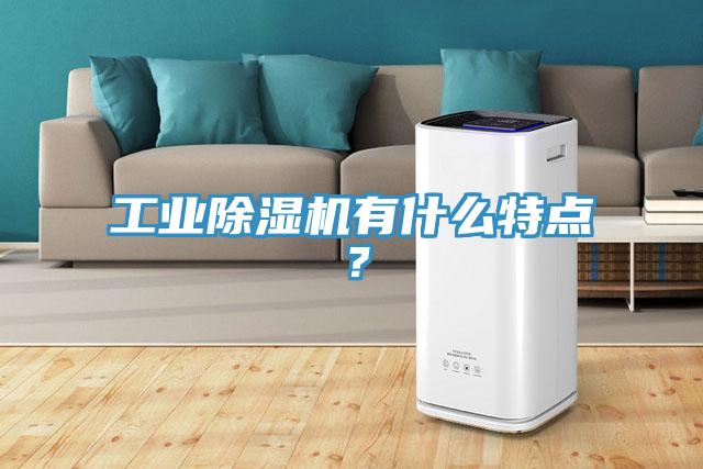 工業(yè)除濕機有什么特點？
