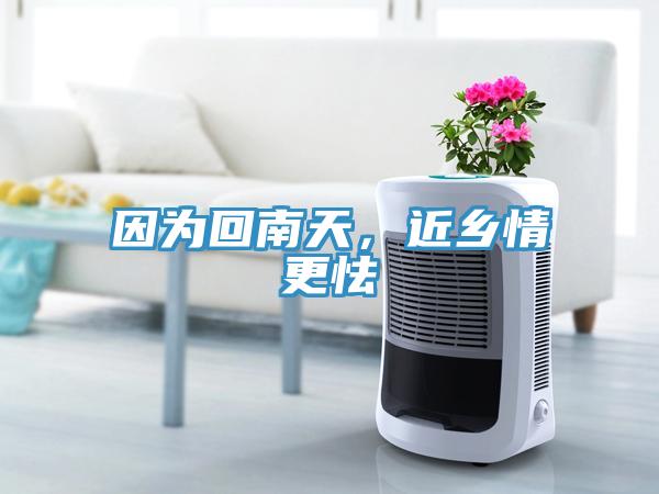 因為回南天，近鄉情更怯