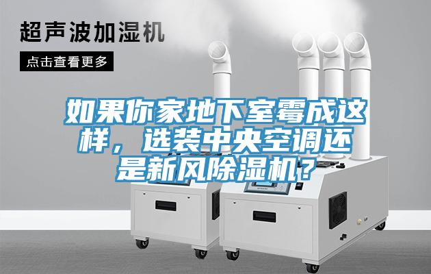 如果你家地下室霉成這樣，選裝中央空調(diào)還是新風除濕機？