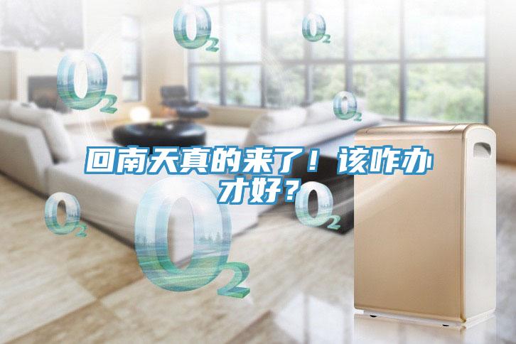 回南天真的來了！該咋辦才好？