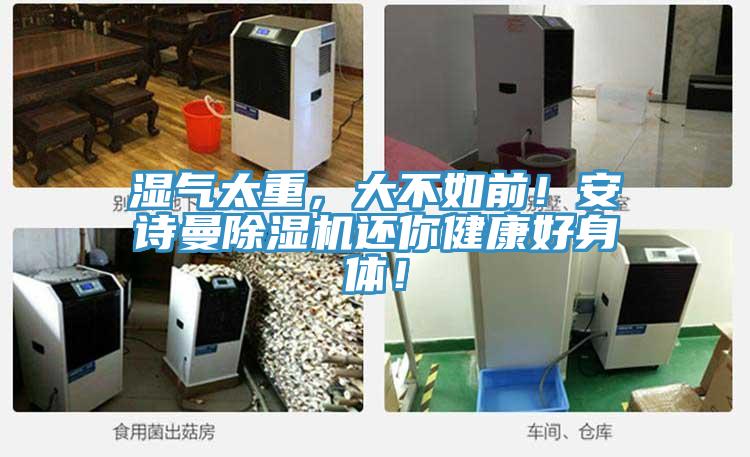 濕氣太重，大不如前！安詩(shī)曼除濕機(jī)還你健康好身體！