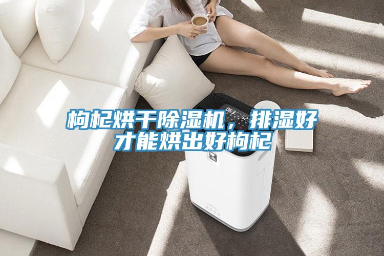 枸杞烘干除濕機，排濕好才能烘出好枸杞