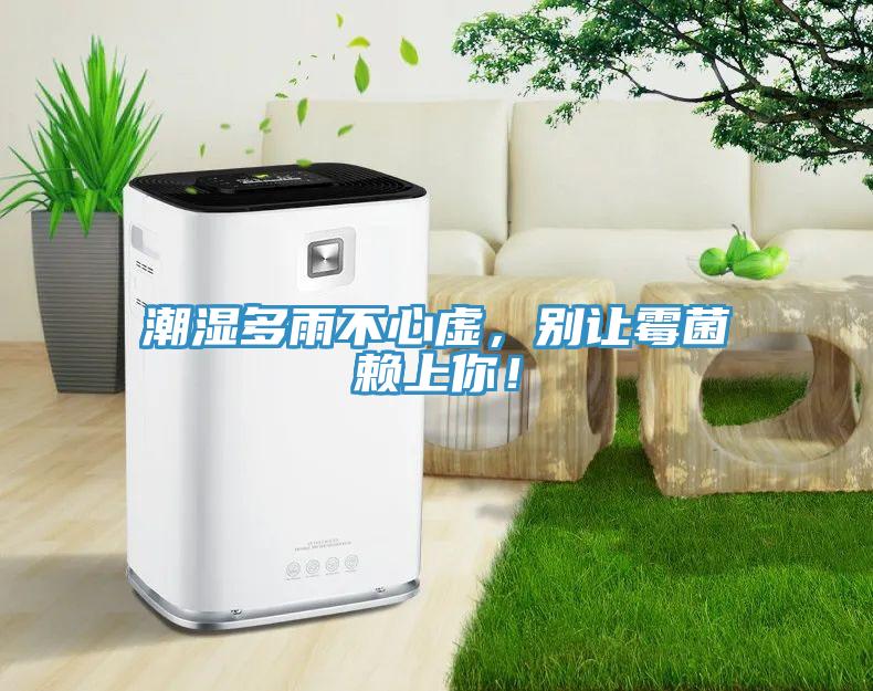 潮濕多雨不心虛，別讓霉菌賴(lài)上你！