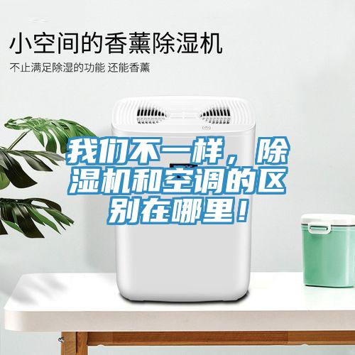 我們不一樣，除濕機和空調的區別在哪里！