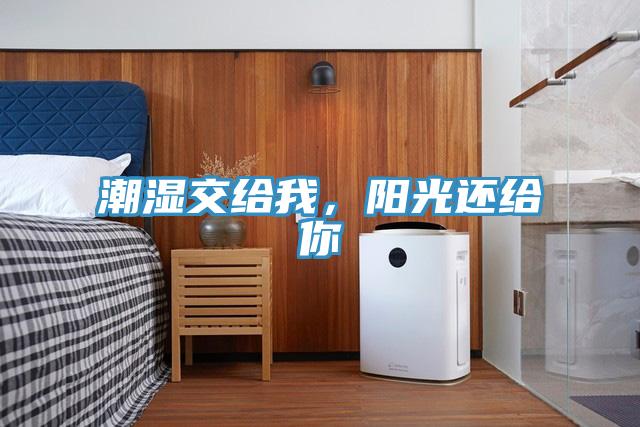 潮濕交給我，陽(yáng)光還給你