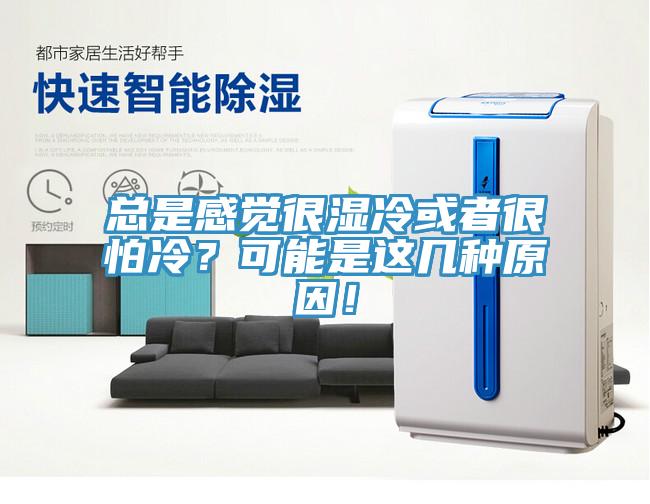 總是感覺很濕冷或者很怕冷？可能是這幾種原因！