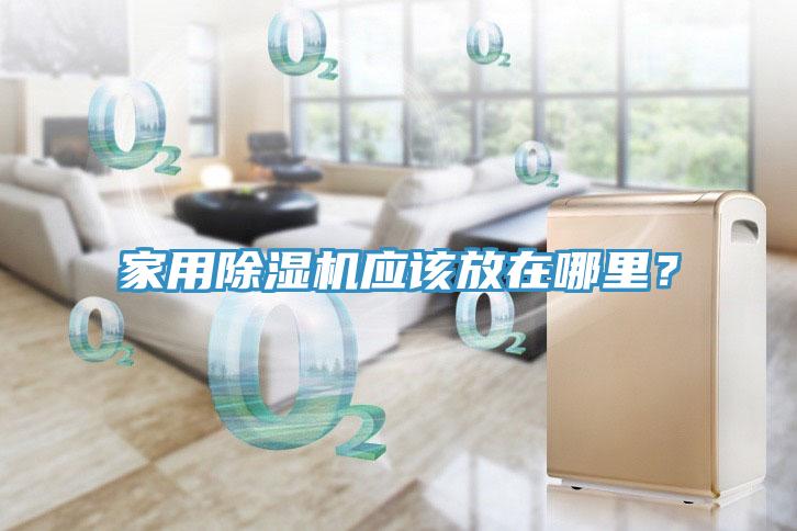 家用除濕機應該放在哪里？