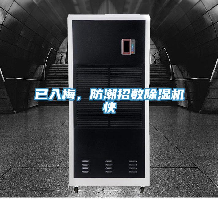 已入梅，防潮招數除濕機快