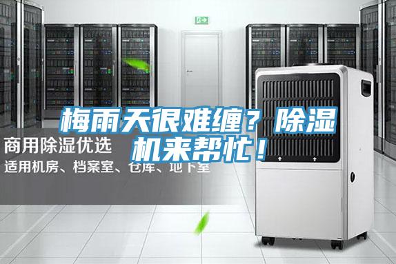梅雨天很難纏？除濕機來幫忙！