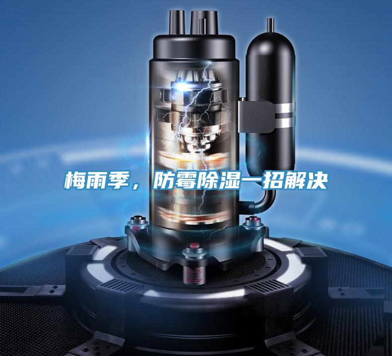 梅雨季，防霉除濕一招解決