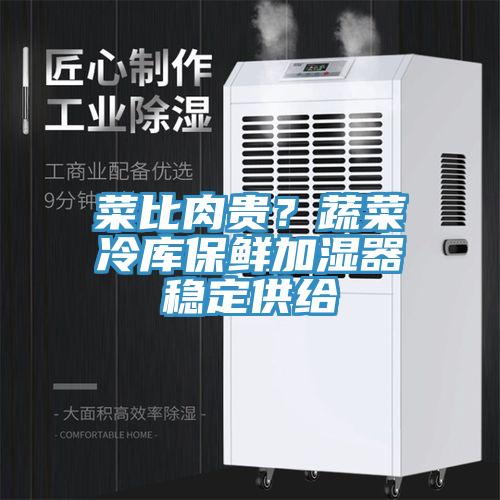 菜比肉貴？蔬菜冷庫保鮮加濕器穩(wěn)定供給