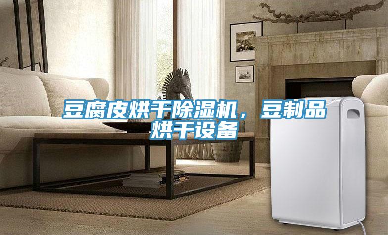 豆腐皮烘干除濕機，豆制品烘干設備