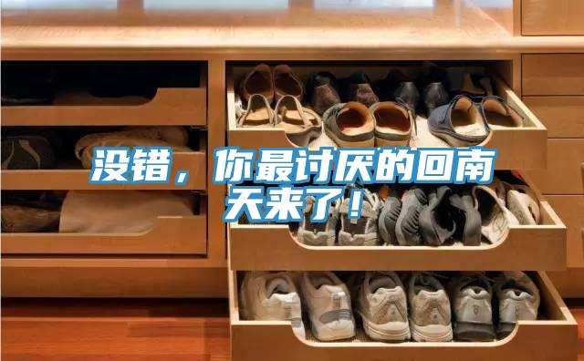 沒錯，你最討厭的回南天來了！