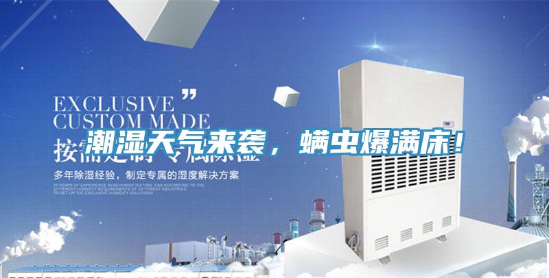 潮濕天氣來襲，螨蟲爆滿床！