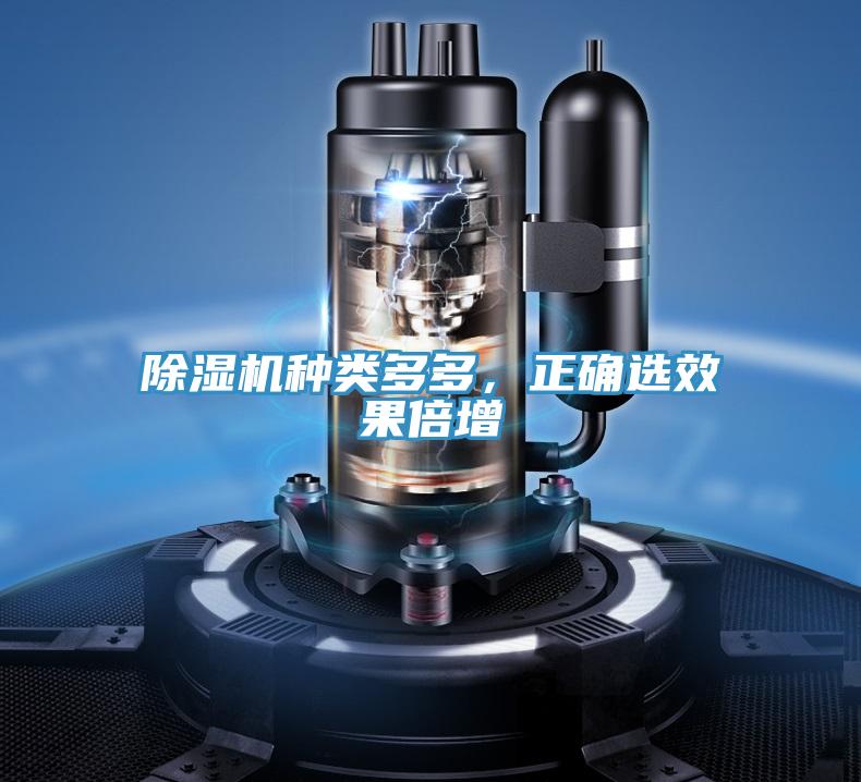 除濕機種類多多，正確選效果倍增