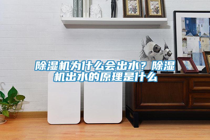 除濕機為什么會出水？除濕機出水的原理是什么