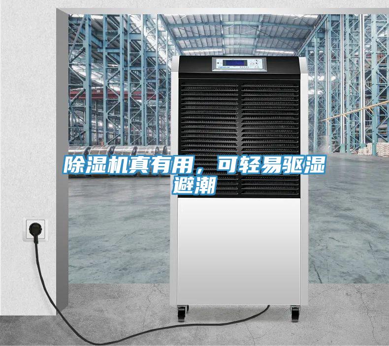 除濕機真有用，可輕易驅濕避潮