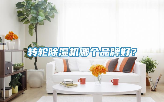 轉(zhuǎn)輪除濕機(jī)哪個品牌好？