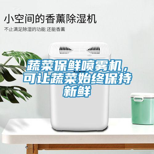 蔬菜保鮮噴霧機(jī)，可讓蔬菜始終保持新鮮