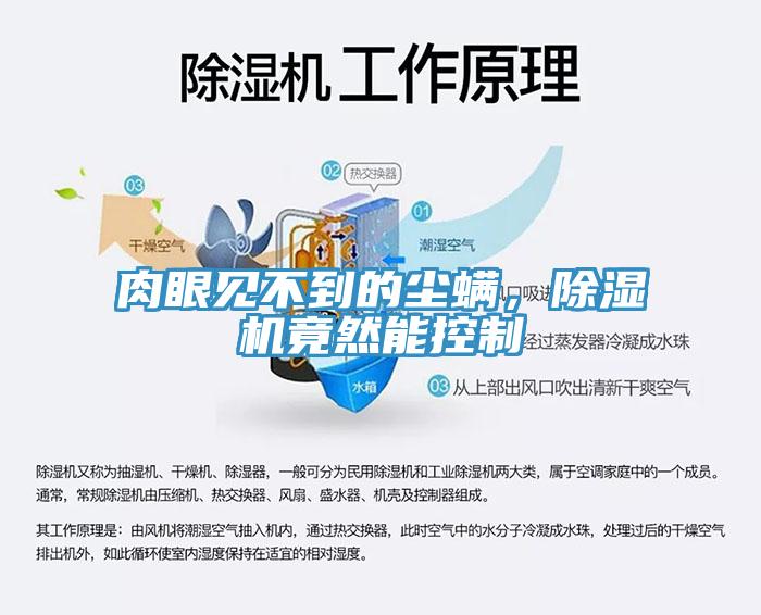 肉眼見不到的塵螨，除濕機竟然能控制