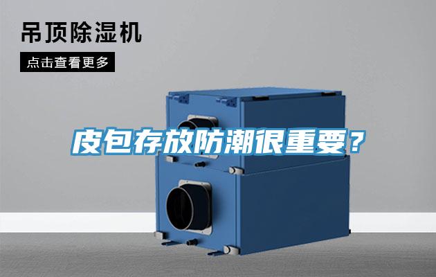 皮包存放防潮很重要？