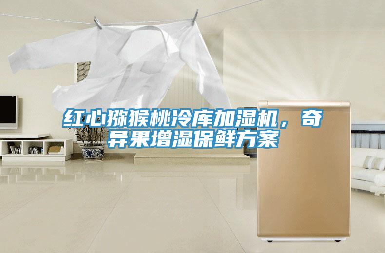 紅心獼猴桃冷庫(kù)加濕機(jī)，奇異果增濕保鮮方案