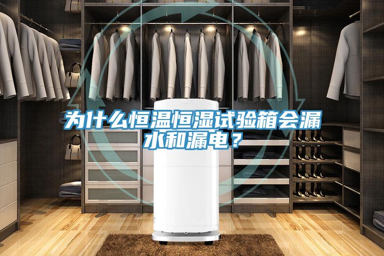 為什么恒溫恒濕試驗箱會漏水和漏電？