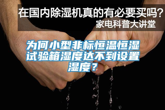 為何小型非標恒溫恒濕試驗箱濕度達不到設置濕度？