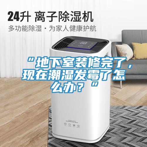 “地下室裝修完了，現(xiàn)在潮濕發(fā)霉了怎么辦？”