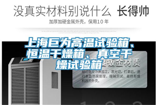 上海巨為高溫試驗箱、恒溫干燥箱、真空干燥試驗箱