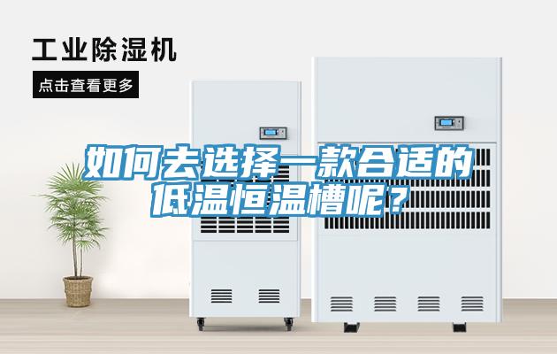 如何去選擇一款合適的低溫恒溫槽呢？