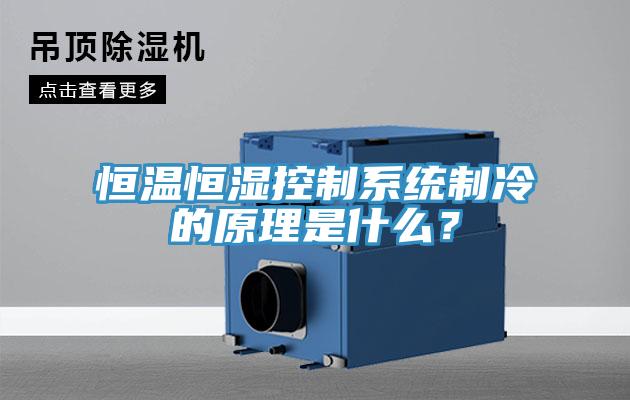 恒溫恒濕控制系統制冷的原理是什么？
