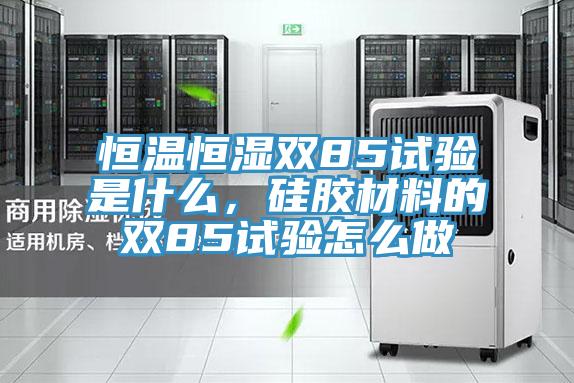 恒溫恒濕雙85試驗是什么，硅膠材料的雙85試驗怎么做