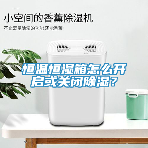 恒溫恒濕箱怎么開啟或關閉除濕？