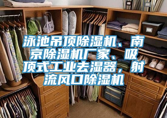 泳池吊頂除濕機、南京除濕機廠家、吸頂式工業(yè)去濕器，射流風(fēng)口除濕機
