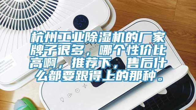 杭州工業除濕機的廠家牌子很多，哪個性價比高啊，推薦下，售后什么都要跟得上的那種。