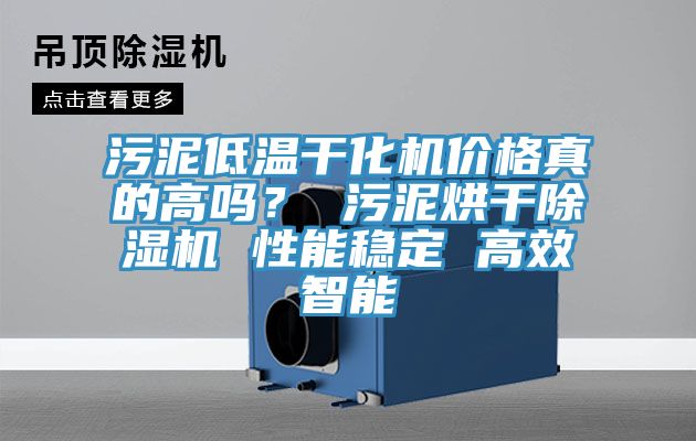 污泥低溫干化機價格真的高嗎？ 污泥烘干除濕機 性能穩(wěn)定 高效智能