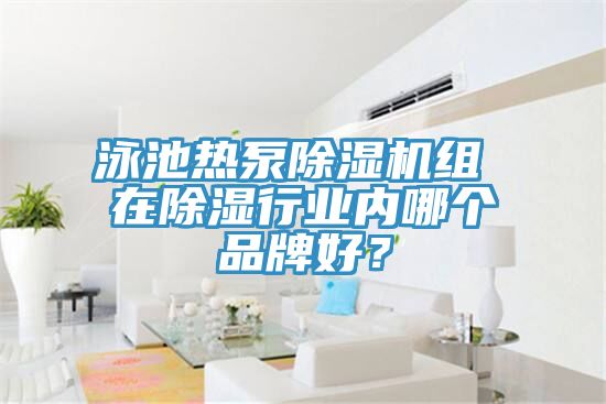 泳池?zé)岜贸凉駲C組 在除濕行業(yè)內(nèi)哪個品牌好？