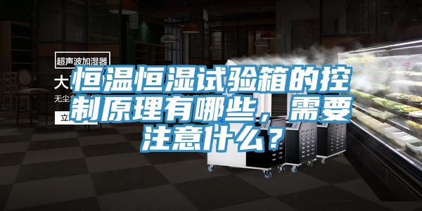 恒溫恒濕試驗箱的控制原理有哪些，需要注意什么？
